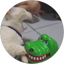 Jacky C. profile picture